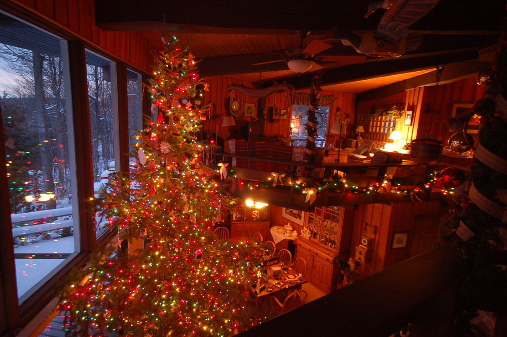 Stouffermill Bed & Breakfast Algonquin Highlands Esterno foto